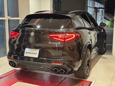 2019 ALFA Romeo STELVIO — фото 3