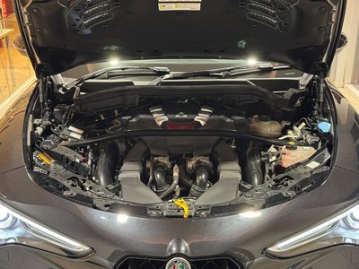2019 ALFA Romeo STELVIO — фото 31