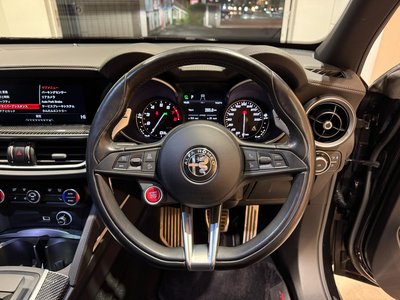 2019 ALFA Romeo STELVIO — фото 33
