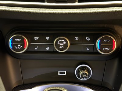 2019 ALFA Romeo STELVIO — фото 13