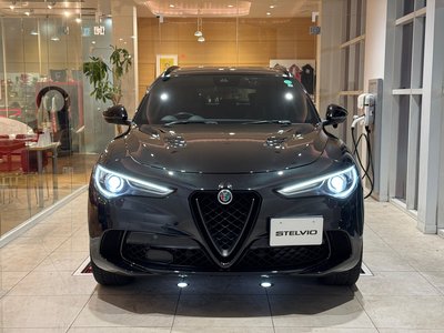 2019 ALFA Romeo STELVIO — фото 21