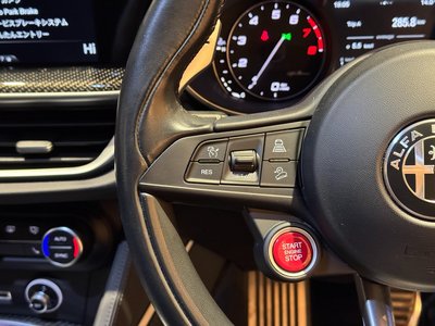 2019 ALFA Romeo STELVIO — фото 34