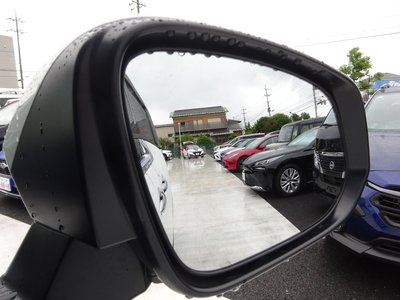 صورة 18 لـ 2025 Toyota ALPHARD