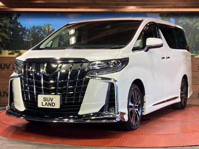 2023 Toyota ALPHARD 照片 21