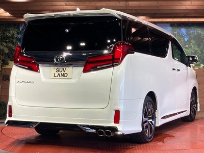 2023 Toyota ALPHARD 照片 17