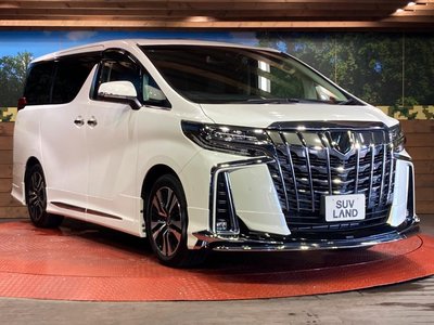 2023 Toyota ALPHARD 照片 16