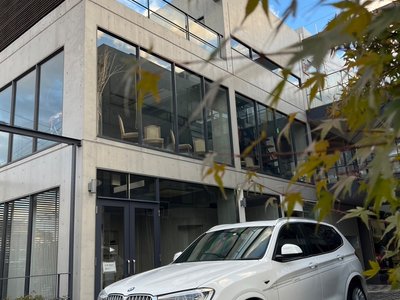 2016 BMW Alpina XD3 照片 6