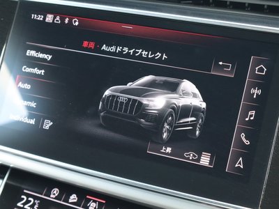 2019 AUDI Q8 — фото 44