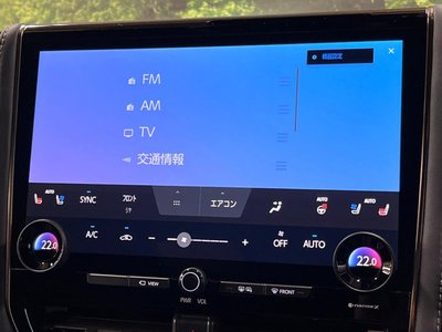 2025 Toyota ALPHARD 照片 35