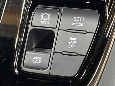 2025 Toyota ALPHARD 照片 37