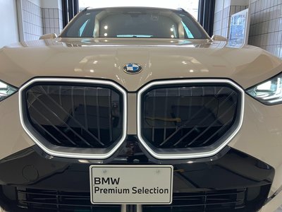 صورة مصغرة 69 لـ 2026 BMW X3
