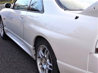 1996 Nissan SKYLINE GT-R 照片 16