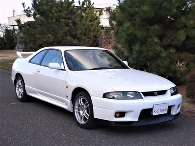 1996 Nissan SKYLINE GT-R 照片 11