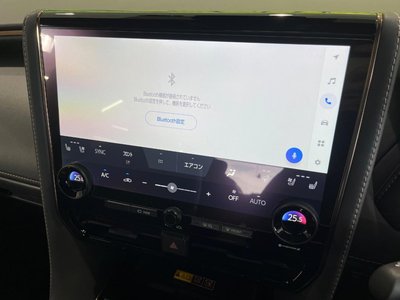 2024 Toyota ALPHARD thumbnail 28