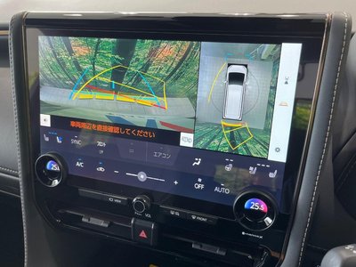 2024 Toyota ALPHARD thumbnail 6