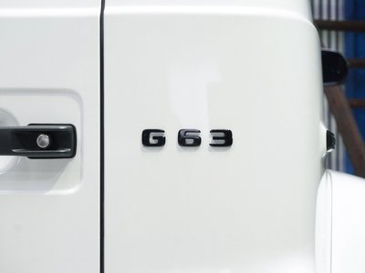2025 Mercedes-BENZ G-CLASS AMG thumbnail 28