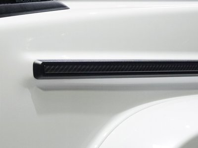 2025 Mercedes-BENZ G-CLASS AMG photo 14