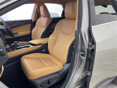 2023 Lexus NX thumbnail 34
