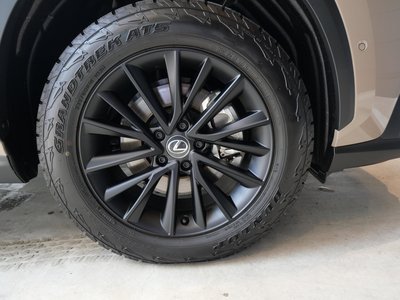 صورة 18 لـ 2025 Lexus NX
