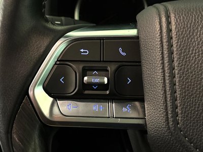 2023 Toyota LAND CRUISER 300 thumbnail 49