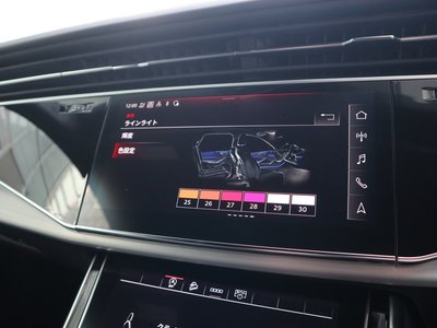 2024 AUDI Q7 photo 14