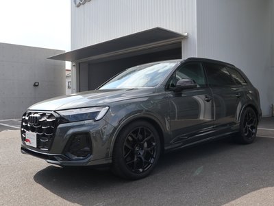 2024 AUDI Q7 thumbnail 17