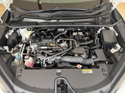 2024 Lexus LBX photo 16