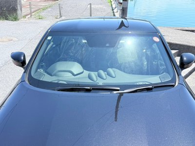 صورة 14 لـ 2025 Nissan FAIRLADY Z
