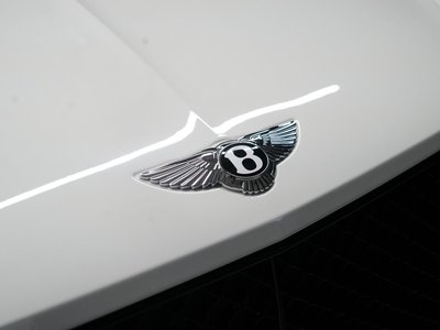 2022 Bentley BENTAYGA 缩略图 30