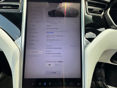 2017 Tesla MODEL X 照片 10