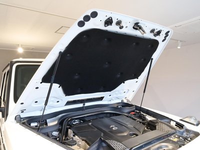 2020 Mercedes-BENZ G-CLASS 照片 18