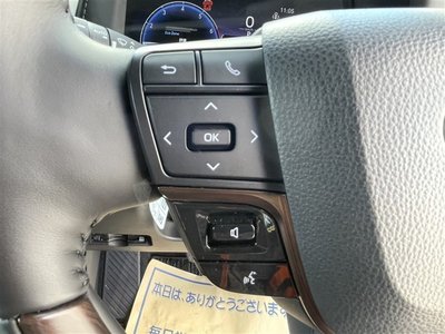 2024 Toyota ALPHARD 照片 14