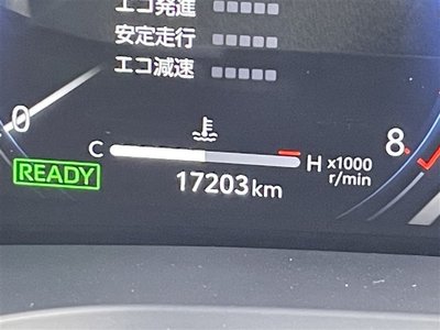 2024 Toyota ALPHARD 照片 25