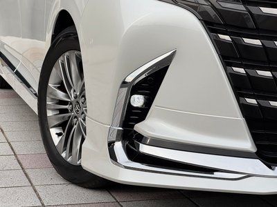 2025 Toyota ALPHARD — фото 21