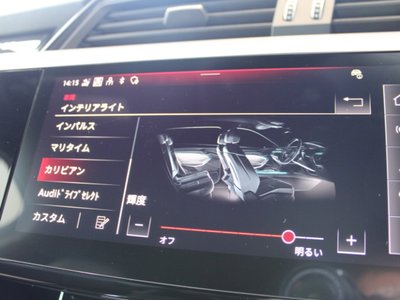2025 AUDI Q8 E-TRON 缩略图 127