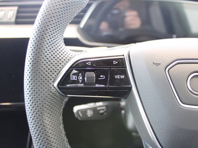2025 AUDI Q8 E-TRON 缩略图 51