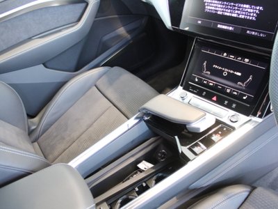 2025 AUDI Q8 E-TRON 缩略图 81