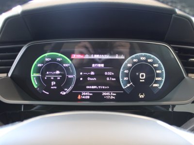 2025 AUDI Q8 E-TRON 缩略图 107