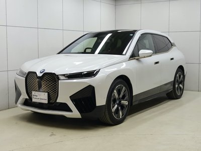 2025 BMW IX thumbnail 23