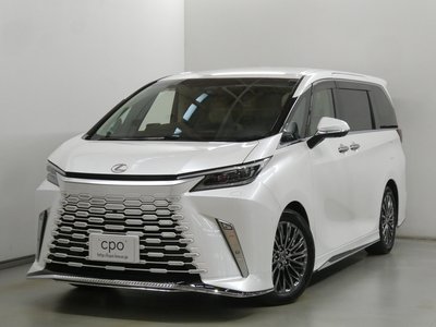 2024 Lexus LM photo 4