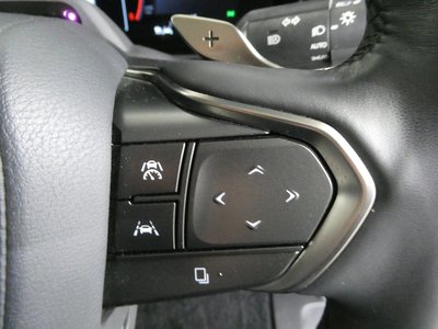2024 Lexus LM photo 11