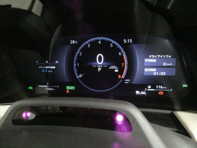 2024 Lexus LM photo 10