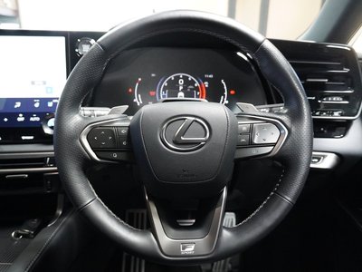 2023 Lexus RX thumbnail 19