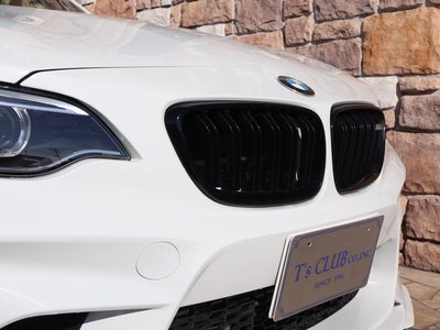 2017 BMW M2 COUPE 照片 21