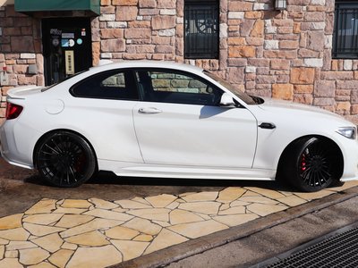 2017 BMW M2 COUPE 照片 8