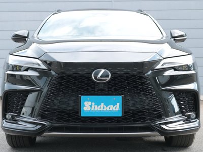 2023 Lexus RX — миниатюра 24