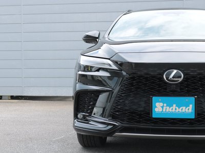 2023 Lexus RX — миниатюра 27