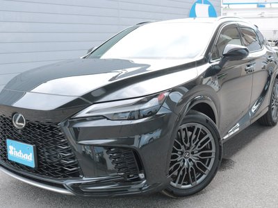 2023 Lexus RX — миниатюра 28