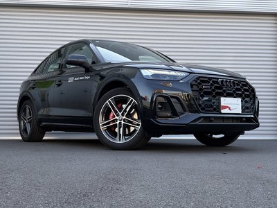 2025 AUDI SQ5 SPORTBACK thumbnail 90