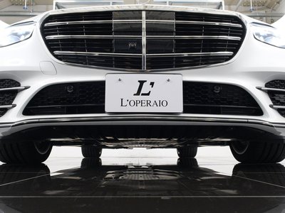 2025 Mercedes-BENZ S-CLASS thumbnail 30